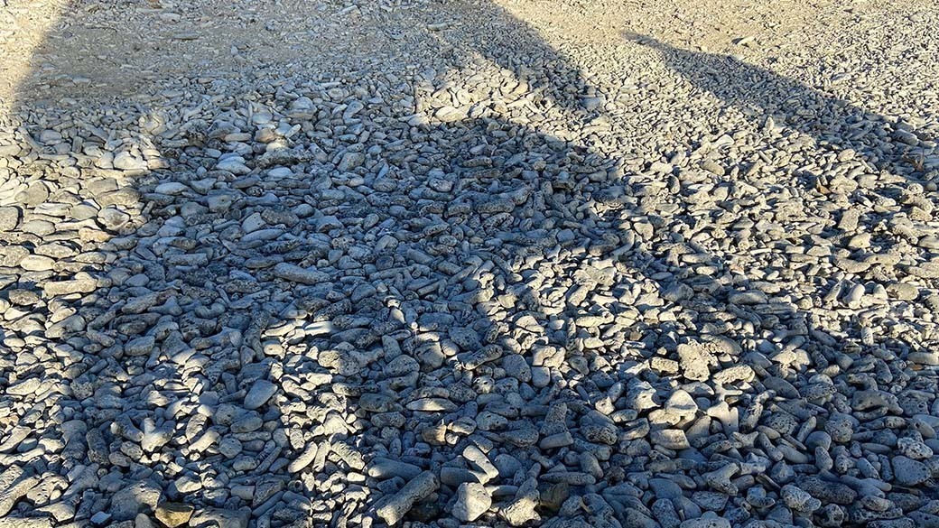 Long shadows on the coral beach of Director's Beach, Curacao, which has an interesting history