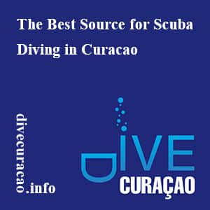 Unser Partner divecuracao.info