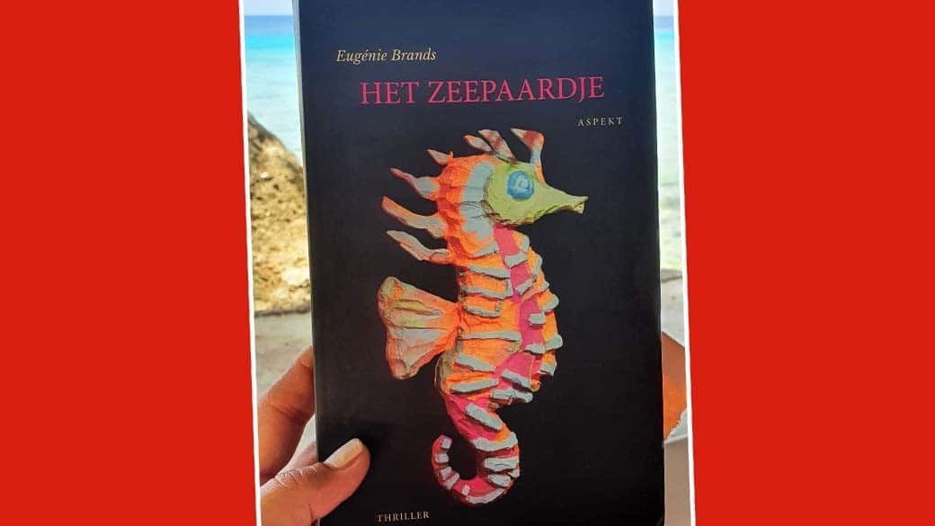 Illustration cover of the novel Het Zeepaardje by Eugénie Brands with a colorful seahorse