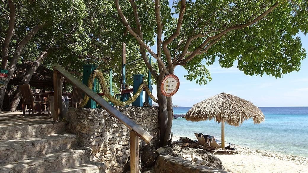 A manzanilla tree marked with a warning sign at Playa Kalki in Westpunt, Curacao