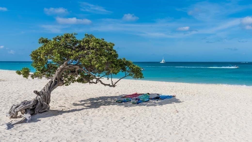 Image by wirestock on Freepik with the world's most famous Divi Divi tree in the white sand of Eagle Beach on Aruba