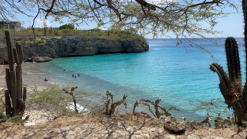 Blick durch die Kakteen auf den Playa Jeremi