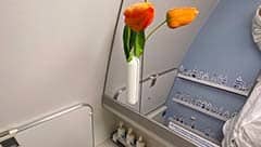 Tulpen auf dem Business Class WC der KLM