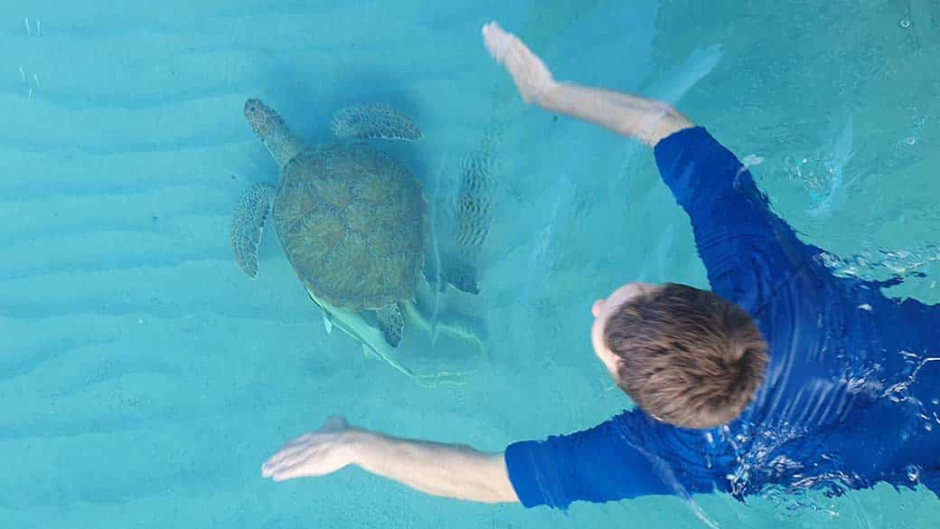 Am Playa Grandi schwimmst Du mit Schildkröten! Schildkröten-Garantie!