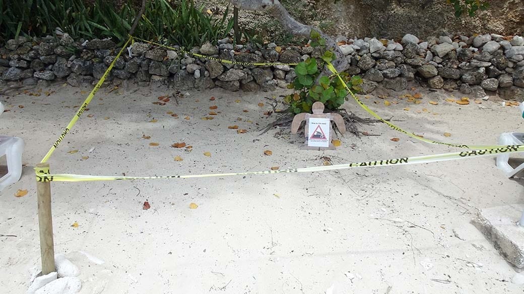 Abgesperrtes Areal am Strand, das eine Brutstätte von Schildkröteneiern im Sand kennzeichnet